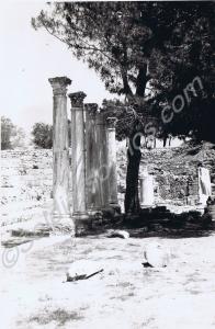 Salamis. 1st Battalion, The Gloucestershire Regime