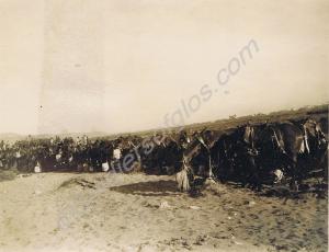Transport section.  1st Battalion, The Gloucesters