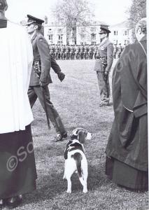 Freedom of the Town Parade. The Gloucestershire Re
