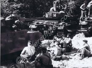 Training exercise with Centurion tanks. Gloucester