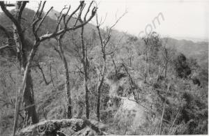 View from the Japanese front line of the route tak