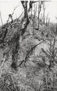 View from the Japanese front line of the route tak