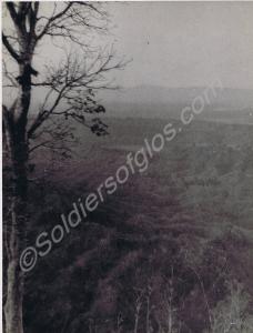 South-East Asian jungle. 10th Battalion, The Glouc