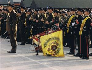 The Last Parade.  Royal Salute. Lieutenant-Colonel