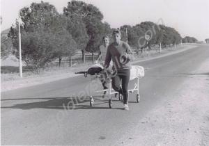 Sponsored bed push in aid of Stoke Park Hospital.