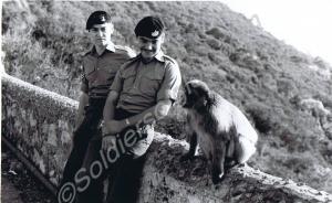 Corporal Watson and Private Houston with Barbary A