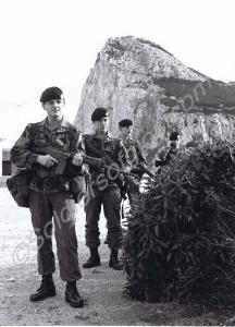 Border Patrol. Corporal Wasley, Privates Down and
