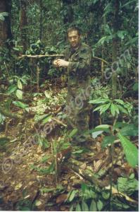 Sergeant Sweet in the rain forest. Gloucestershire