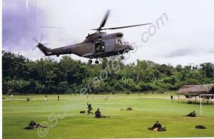 Jungle Warfare Training - extraction by Puma helic
