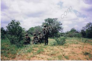 On exercise in the bush. Operation Diamond Cutter.