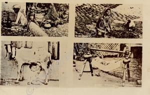 In album     Daily life - fuel maker, nursing goat