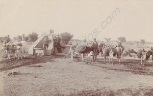 In album     Soldiers by well with oxen and water