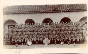 In album     'C' Company, 2nd Battalion, The Glouc