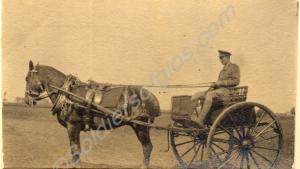 "A.C. Vicary". Captain Vicary in a dog-cart.  2nd