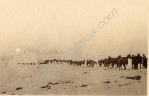 Pack-horse train marching across snow.  2nd Battal