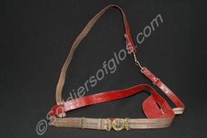 Dress sword sling, as worn by Lieutenant-Colonel i