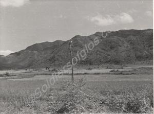 Gloster Hill, Korea, from the north. C Troop 170 M