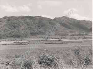 Gloster Hill, Korea, from the north. C Troop 170 M