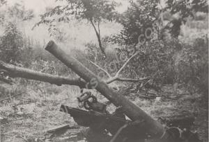 Chinese and British gun remains in the woods at th