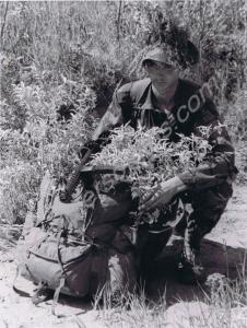 Exercise Wainwright Warrior. Gloucestershire Regim