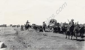 'Wagon Train of some of the 3000 Black and White P