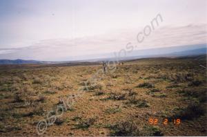 Exercise Trumpet Dance. Yakima and Camp Bonneville