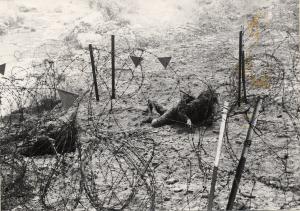 Gloucestershire Regiment on mine-clearing exercis
