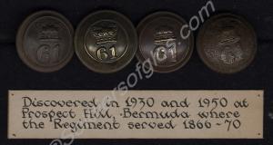 Buttons of the 61st South Gloucestershire Regiment