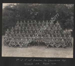 Officers of the 2nd, 4th, 5th and 6th battalions,