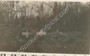 Graves  of Private May, Private Young, and Captain