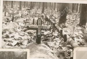 Grave of Private E Cornes. 10th Battalion, The Glo