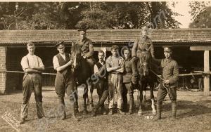 Group of soldiers with horses.  1/5th Battalion, T