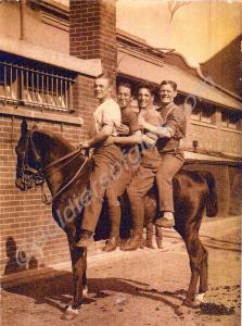 Four troopers on a single horse. 2905 Private Herb