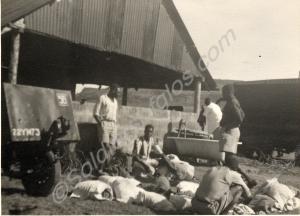 Dhobi wallahs at Gil Gil Camp.  1st Battalion, The