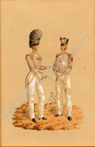 Watercolour - Officer, Grenadier Company and Offic