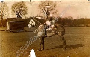 3113/265777 Private Frederick Channon on horseback