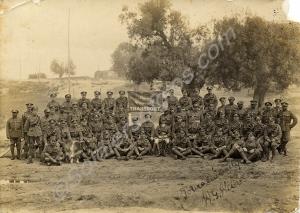 Transport Section. Gloucestershire Regiment with s