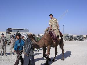 Lieutenant-Colonel Nick Welch on a camel. Operatio