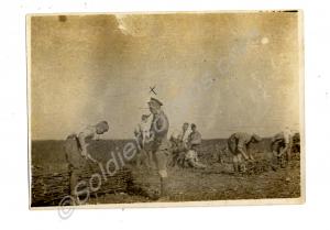 Features A. E Mackrell in the centre foreground, "