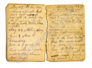 Diary. 37218  Private Walter Henry Widdrington Smi