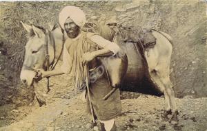 Indian muleteer. Belonged to 19229 Private William