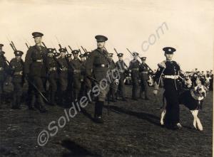 Parade with Regimental Mascot, "Braggs". 6th (Terr
