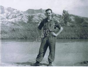 22229531 Craftsman G.E. Musgrave, Royal Electrical