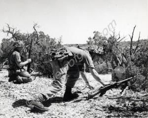 Operation Wild Sunset II. "On exercise in Colorado
