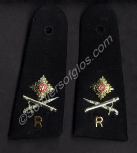 Pair of officer's shoulder titles for blue No. 1 D