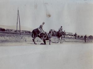 French camel troops. Salonika. c. 1916.
