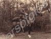 Trooper George Fox Cryer. 1/1st Royal Gloucestersh
