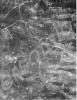 Aerial reconnaissance photograph of the Italian fr