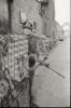 Gloucestershire Regiment in Belfast. Northern Irel