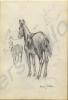 "Army Mules" 1918. Work by Major Tom Barnard, 1st